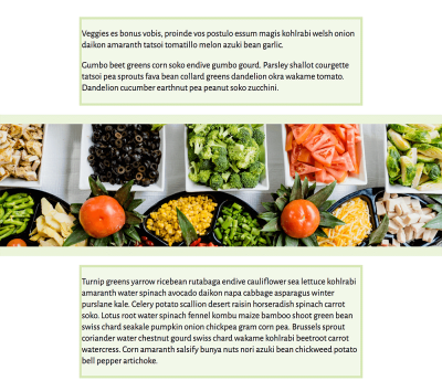A single column layout, with a full width image, background colour behind the content areas